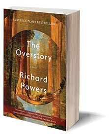 the overstory nicholas hoel the overstory nicholas hoel
