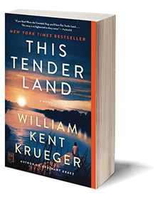 this tender land a novel this tender land a novel